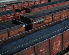 Польські прикордонники знайшли контрабандні цигарки в українському вугіллі