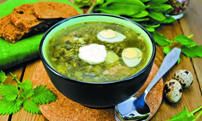 Зелений борщ зі щавлем: домашній рецепт