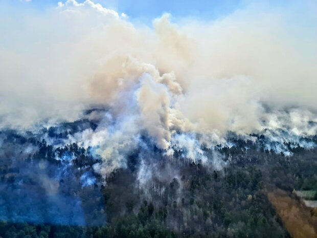 Пожежі в Житомирській області \\ фото з Twitter Арсена Авакова