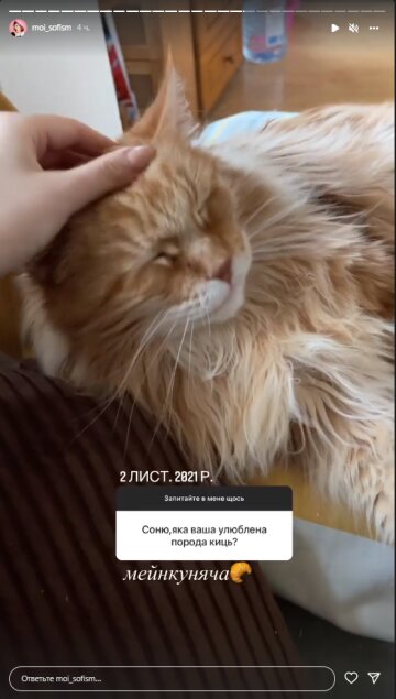 Соня Плакидюк, скріншот: Instagram Stories