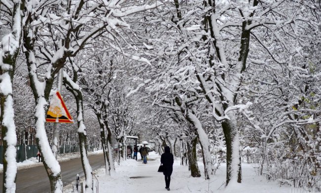Погода на 30 декабря: на украинцев обрушатся стихийные бедствия