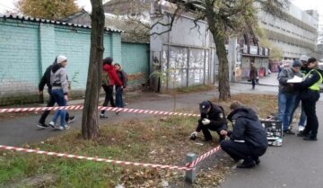 "Страшно вийти з дому": зграї бродячих кусак тероризують містян, - про перші жертви говорять пошепки