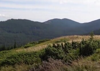 Карпаты, кадр из видео, изображение иллюстративное: YouTube
