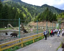 Национальный природный парк "Синевир", фото с фейсбук