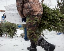 Продавець ялинок у Києві торгував зброєю (фото)