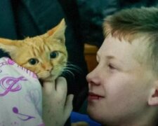 Детей с котами не будут больше выгонять из укрытий? Что известно о новом предложении