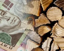 Одноразова грошова допомога українцям