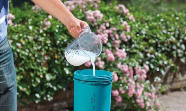 молочная подкормка для растений, фото из свободных источников