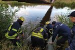 З мосту - у воду: під Дніпром загинула маленька принцеса, місто сліпне від сліз