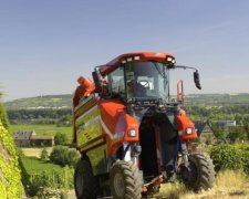 Брат шведского короля положил глаз на крымский заводик