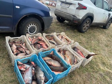 незаконний вилов риби