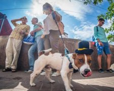 Погода на ближайшие дни: адская стихия покошмарит украинцев