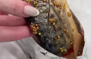 Запеченная скумбрия, кадр из видео