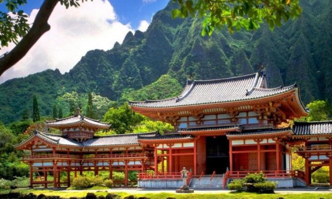 Китайская медицина: в сеть слили уникальные рецепты