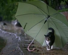 Діставайте парасолі і куртки: погода приготувала сюрприз на вихідні 