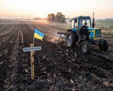 земельна ділянка поле оренда землі
