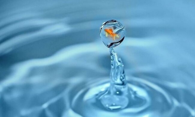 Ліки в організм людини доставлятимуть риби