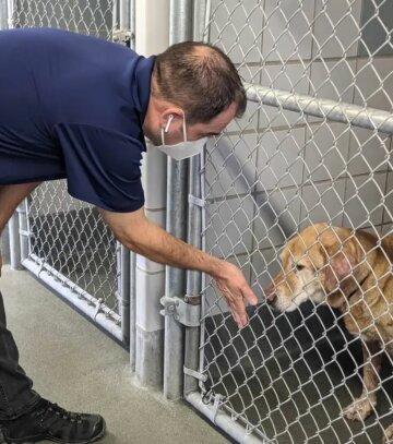 Самсон, фото: City of San Antonio Animal Care Services