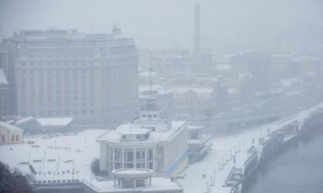 Стихия не помеха: украинцев порадовали первые весенние цветы