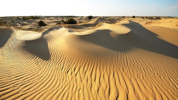 В Україні знайшли пустелю, створену прибульцями: аеродром НЛО ховали поряд