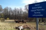 Белорусские пограничники обстреляли 20 украинских всадников