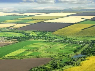 Земельна ділянка в Україні