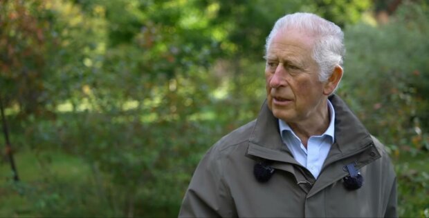 Принц Чарльз, фото: скріншот з відео