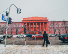 Погода на 29 січня: стихія доб'є українців, від холоду не сховатися навіть вдома