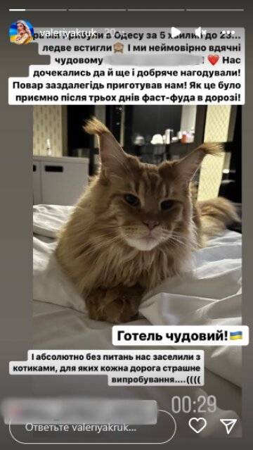 Скриншот из Insta Stories, Валерия Крук