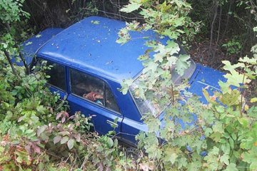 Крадій викрав авто і заснув в ньому від втоми