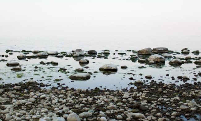 Хватаются за головы: ученые предрекли масштабную катастрофу