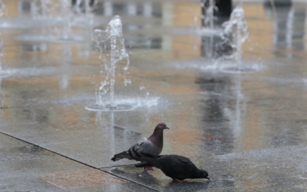 Во Львове открылся пешеходный фонтан