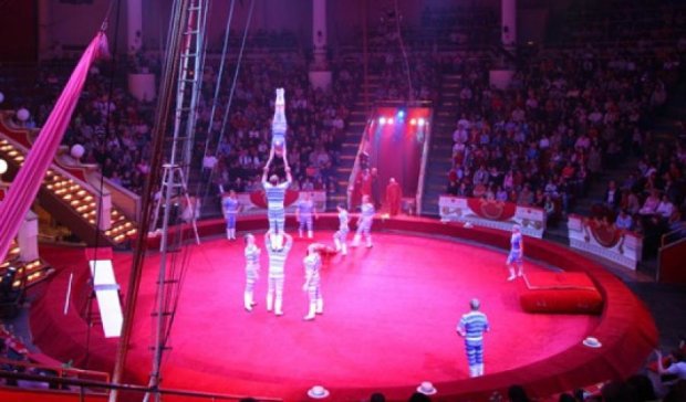 Национальный цирк приготовил номер для Книги Гиннесса