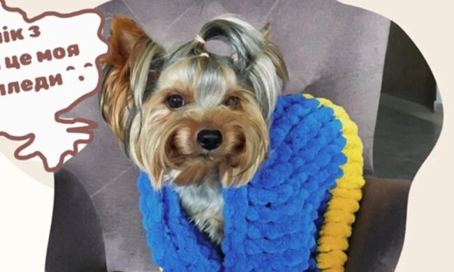 Пледи від Анни з Маріуполя, фото instagram