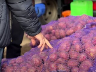 Ціни на картоплю. Фото: скрін youtube