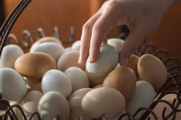 Геть хвороби і зайву вагу: ці продукти подарують вам здоров’я та стрункість