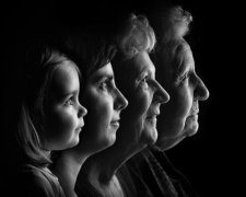 Украинцы смогут проследить свое семейное дерево
