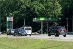 У Харкові дикий кабан кинувся під колеса автівок, але шашликів не буде