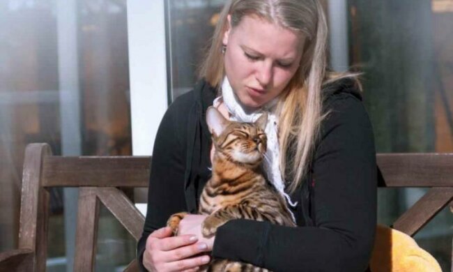 Ученые рассказали о целебной способности котов