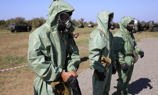 В Украине бушует смертельная африканская чума: уничтожает все на своем пути