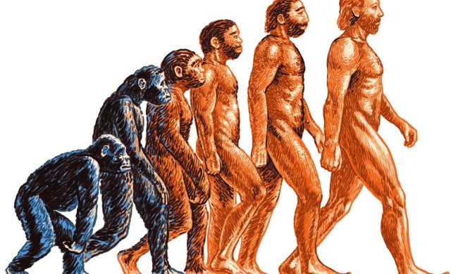 Вчені назвали 6 частин тіла, якими людина не користується