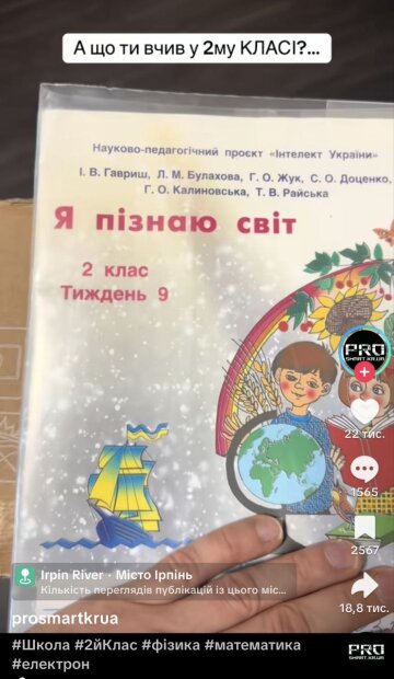 Підручник для 2-го класу: фото скрін ТікТок