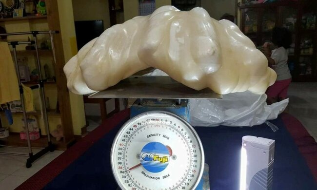 Перлина, Фото: Aileen Cynthia Maggay-Amurao