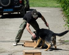 У Дніпрі накрили банду місцевих эскобарів: смертельний дурман - для всіх бажаючих, впарювали навіть дітям