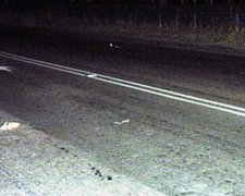 На Волині водій збив одразу двох пішоходів