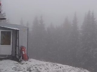 Снег в Карпатах, скриншот с видео