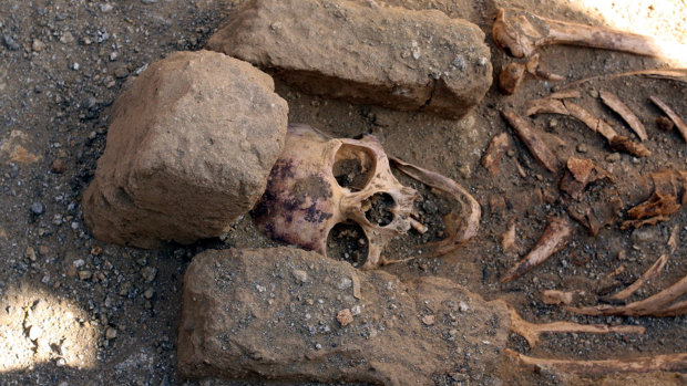 Людина з Хараппа: вчені наблизилися до розгадки таємниці найдавнішої цивілізації