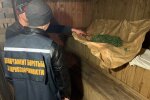 на Полтавщині викрили банду наркодилерів