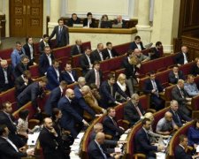 Такого вы точно не видели! Голая девушка в Верховной Раде