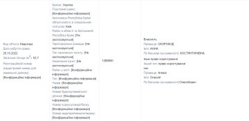 Задеклароване майно Анни Скороход / фото: Єдиний реєстр декларацій